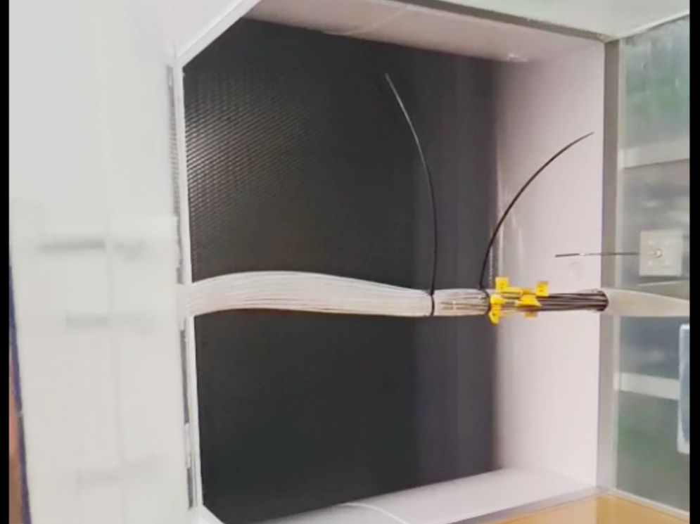 Customized Open Return Flow Wind Tunnel with Oversized Test Section Delivered to Dongguan University of Technology